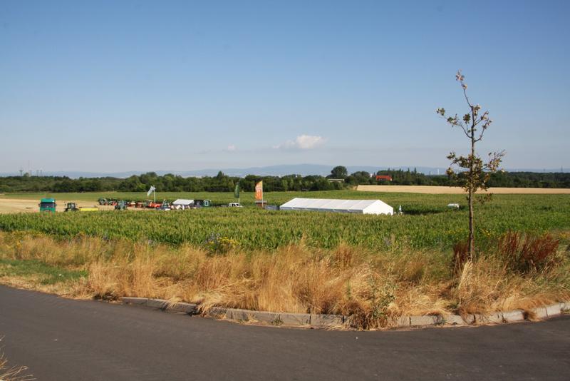 [ Bild img_3759_800x534.jpg /  ]