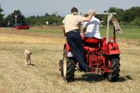 [ Bild img_3770_200x133.jpg ]