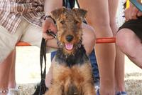 [ Bild img_3811_200x133.jpg ]