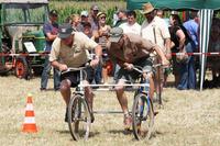 [ Bild img_3848_200x133.jpg ]