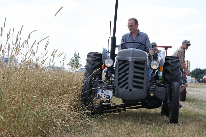 [ Bild img_3904_800x533.jpg /  ]