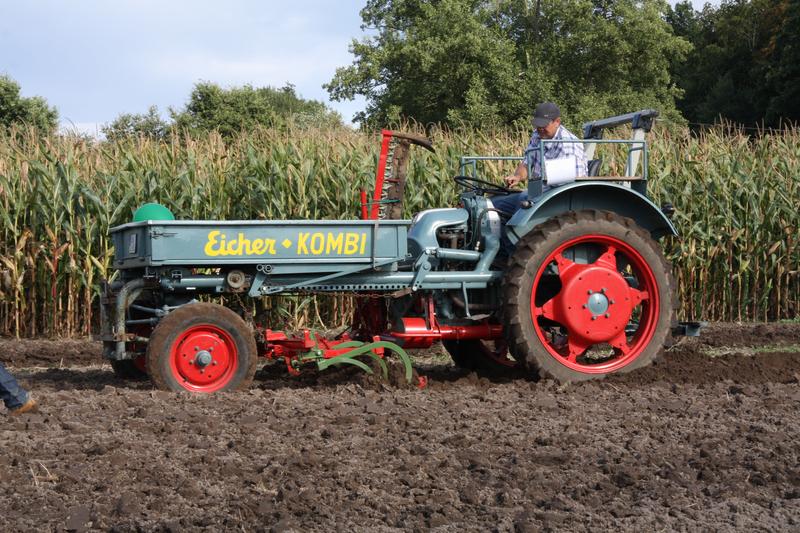 [ Bild img_7618_800x533.jpg /  ]