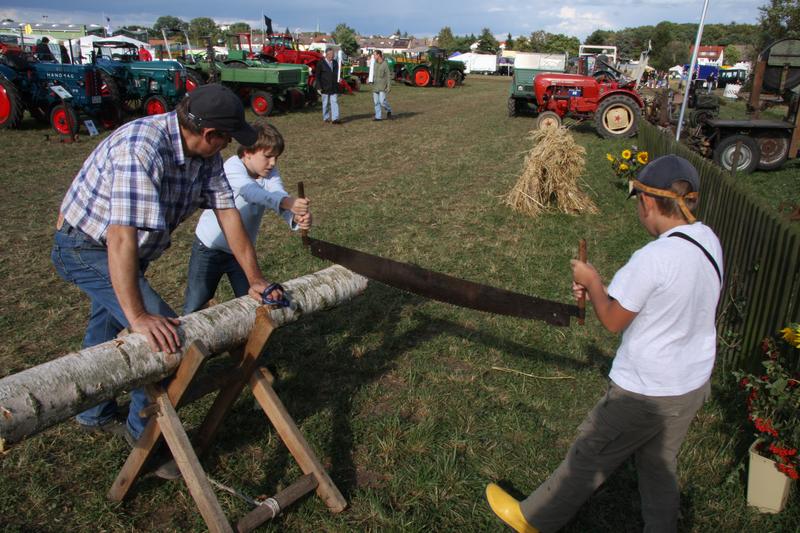 [ Bild img_7619_800x533.jpg /  ]