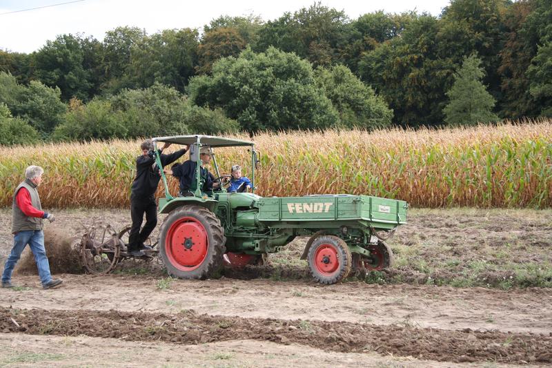 [ Bild img_7634_800x533.jpg /  ]