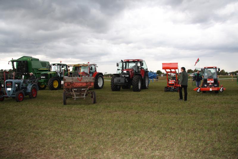 [ Bild img_7639_800x534.jpg /  ]