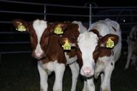 [ Bild img_7662_200x133.jpg ]