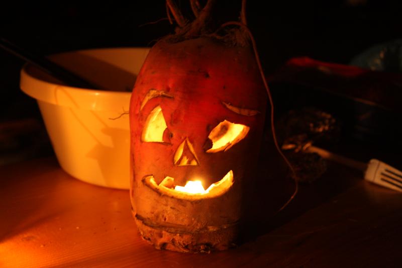 [ Bild img_7665_800x533.jpg /  ]