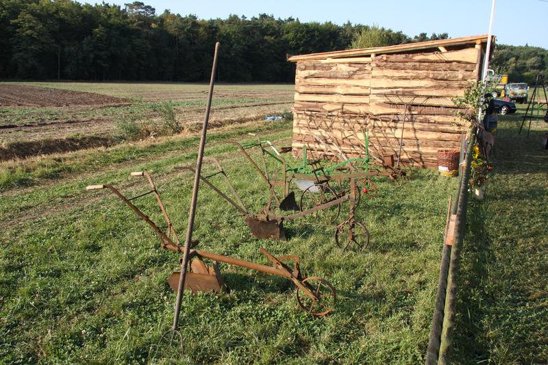 [ Bild img_7673_800x533.jpg /  ]