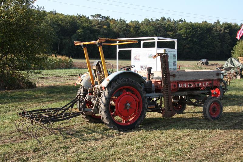 [ Bild img_7682_800x533.jpg /  ]