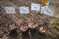 [ Bild img_7688_200x133.jpg ]