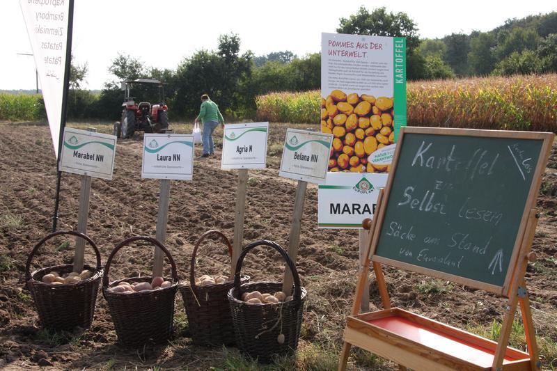 [ Bild img_7690_800x533.jpg /  ]