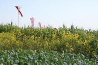 [ Bild img_7708_200x133.jpg ]