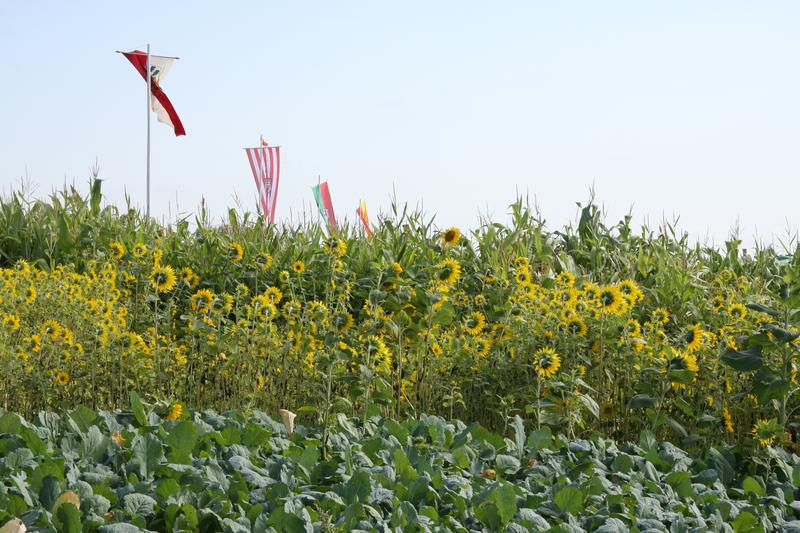 [ Bild img_7708_800x533.jpg /  ]