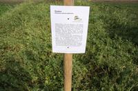 [ Bild img_7709_200x133.jpg ]