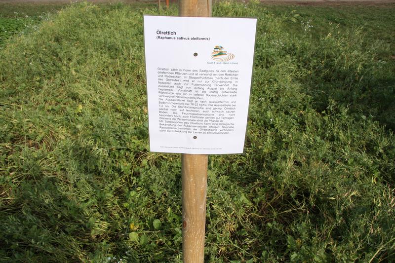 [ Bild img_7709_800x533.jpg /  ]