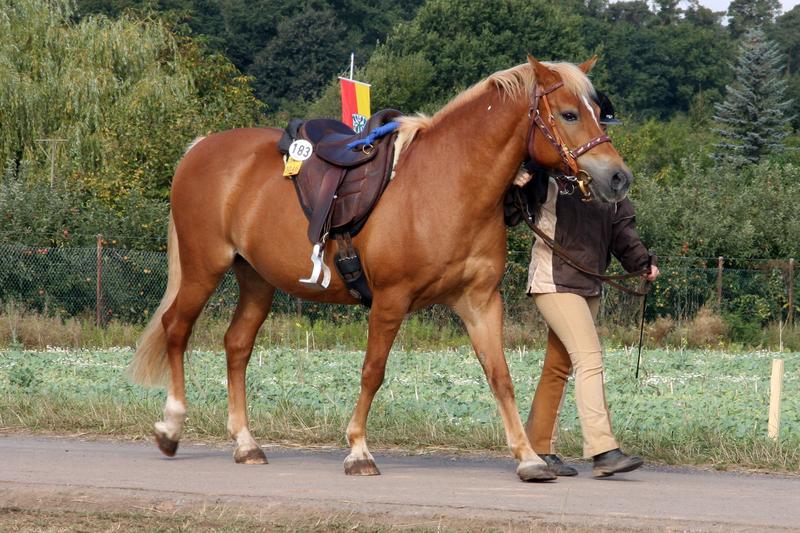 [ Bild img_7710_800x533.jpg /  ]