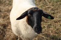 [ Bild img_7719_200x133.jpg ]