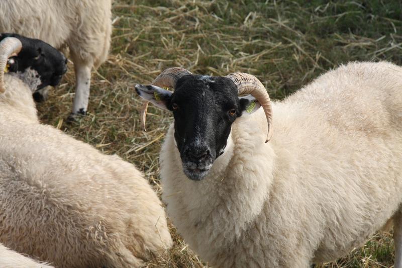 [ Bild img_7721_800x533.jpg /  ]