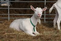 [ Bild img_7723_200x133.jpg ]