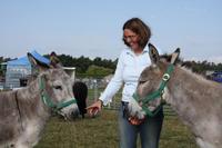 [ Bild img_7729_200x133.jpg ]