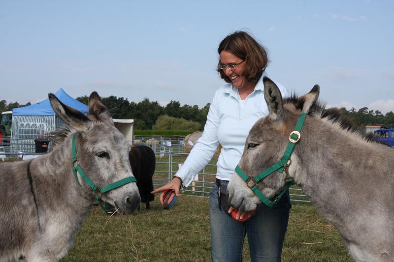 [ Bild img_7729_800x533.jpg /  ]