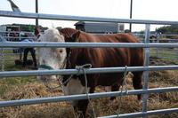 [ Bild img_7731_200x133.jpg ]