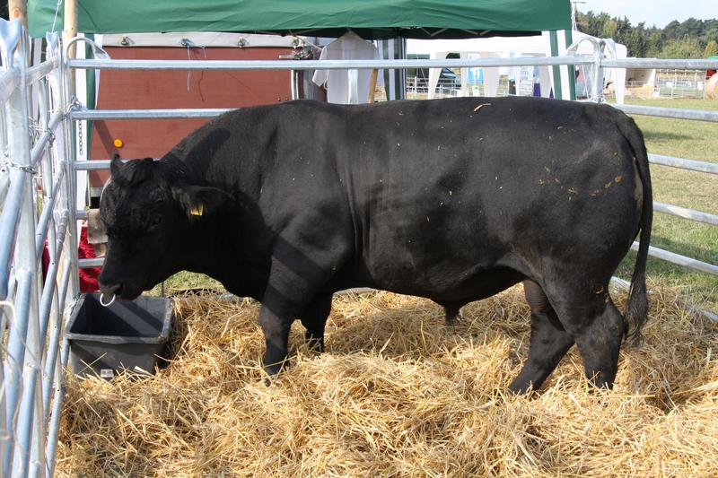 [ Bild img_7734_800x533.jpg /  ]