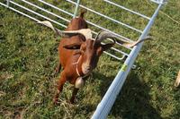 [ Bild img_7738_200x133.jpg ]