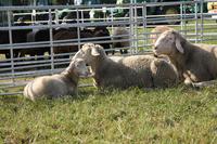 [ Bild img_7740_200x133.jpg ]