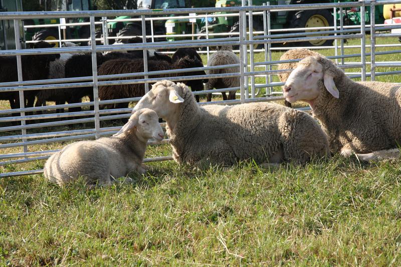 [ Bild img_7740_800x533.jpg /  ]