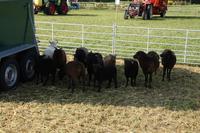 [ Bild img_7744_200x133.jpg ]