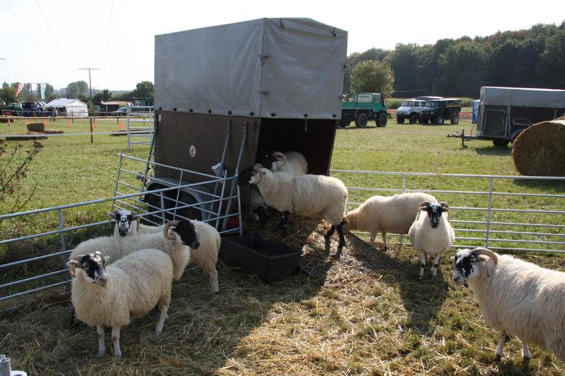 [ Bild img_7745_800x533.jpg /  ]