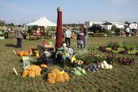 [ Bild img_7754_200x133.jpg ]