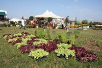 [ Bild img_7756_200x133.jpg ]