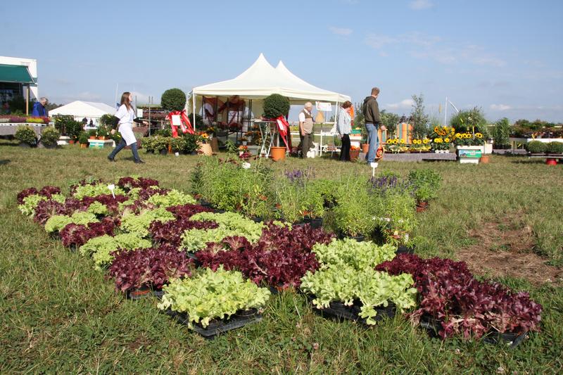 [ Bild img_7756_800x533.jpg /  ]