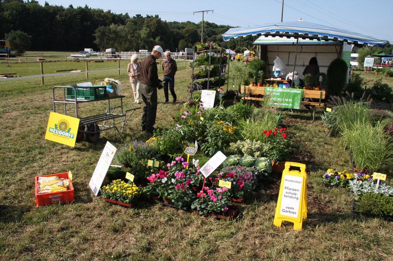 [ Bild img_7758_800x533.jpg /  ]