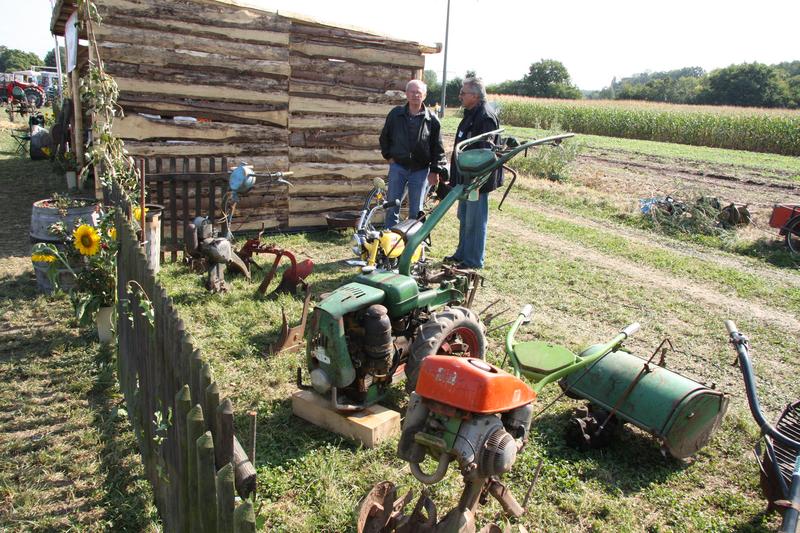 [ Bild img_7762_800x533.jpg /  ]