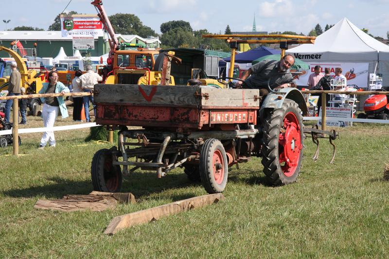 [ Bild img_7773_800x533.jpg /  ]