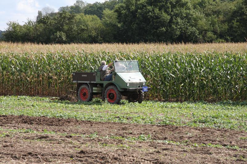 [ Bild img_7795_800x533.jpg /  ]