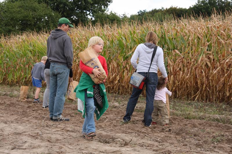 [ Bild img_7827_800x533.jpg /  ]