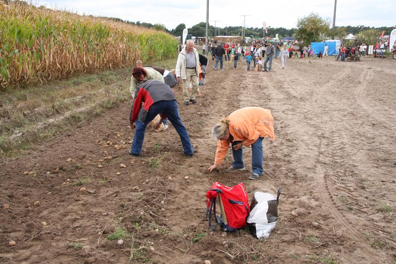 [ Bild img_7830_800x533.jpg /  ]