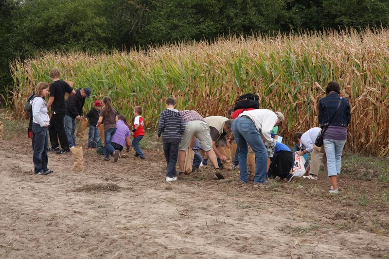 [ Bild img_7838_800x533.jpg /  ]